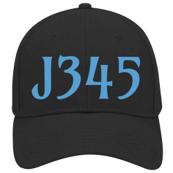 J345 Low Pro Style Otto Cap 