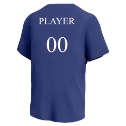 Number-only Rangers MLB Little League Team Jerseys - Official Nike Youth MLB Wordmark Poly Tees - NY234