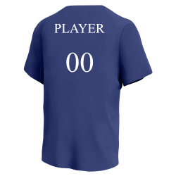 Rangers-24â€™ Rangers MLB Little League Team Jerseys - Official Nike Youth MLB Wordmark Poly Tees - NY234