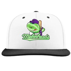 MELONHEADS-24 Adult Flex Fit Hat