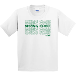 SPRING Gildan Youth Tee