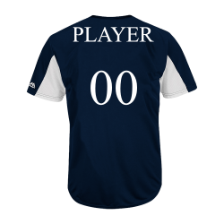 MBA-Yankees-pinto Youth Yankees Two-Button Jersey - MAIY83