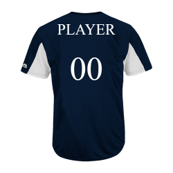 Yankees-Fall-Ball Custom Yankees Two-Button Jersey - MAI383