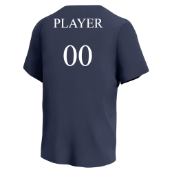 Yankees-Fall-T-Shirt Yankees MLB Little League Team Jerseys - Official Nike Youth MLB Wordmark Poly Tees - NY223