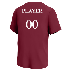 Amelia Diamondbacks MLB Little League Team Jerseys - Official Nike Youth MLB Wordmark Poly Tees - NY223