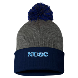 Final-beanie Pom Pom Knit Beanie - SP15