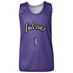 Falcons--1 Design Screen Printed Basketball Jersey | Boys Badger Sportswear Basketball Jersey 2529