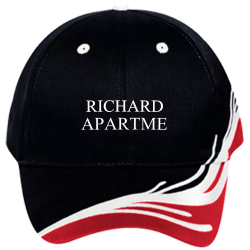 RICHARDSON-APARTMENTS Low Pro Pre Embroidered Otto Cap 58-587