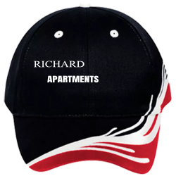 RICHARDSON-APARTMENTS Low Pro Pre Embroidered Otto Cap 58-587