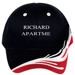 Richardson-Apartments Low Pro Pre Embroidered Otto Cap 58-587