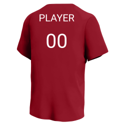 RUBY-BULLDOG Angels MLB Little League Team Jerseys - Official Nike Youth MLB Wordmark Poly Tees - NY223