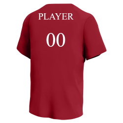 PHILLIES Phillies MLB Little League Team Jerseys - Official Nike Youth MLB Wordmark Poly Tees - NY232