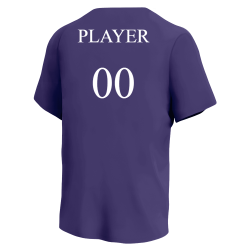 PLAYER-00 Rockies MLB Little League Team Jerseys - Official Nike Youth MLB Wordmark Poly Tees - NY237
