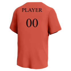 Astros Astros MLB Little League Team Jerseys - Official Nike Youth MLB Wordmark Poly Tees - NY223