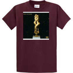 BG Design Your Own Screen Printed T-shirt | Mens Port And Company T-shirt Pc61