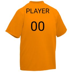 PLAYER-00 Wicking Baseball Jersey 2 Button