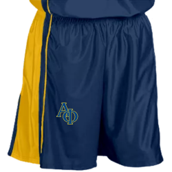 basketball-shorts DISCONTINUED Adult Dazzle Basketball Shorts - 9