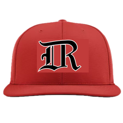 DR-hat Adult Flex Fit Hat