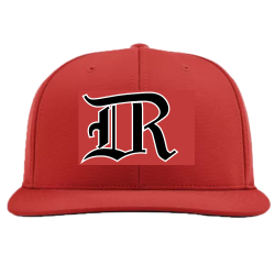 DR-hat Adult Flex Fit Hat