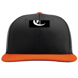 Create Adult Flex Fit Hat