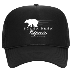 polar bear express