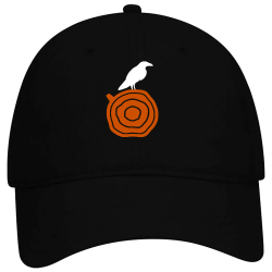 Black-Hat-Secondary-Logo Low Pro Style Otto Cap 