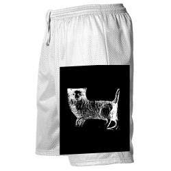 mbcat Adult One Color  Mesh Shorts  - 569P