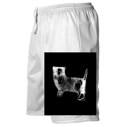 Createcat