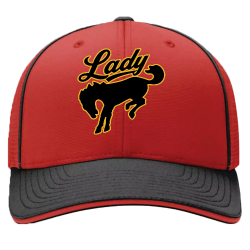 Create Custom Sport Mesh Flexfit Hat