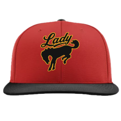 Create Adult Flex Fit Hat